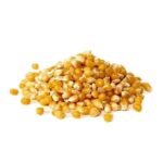 1502.jpg