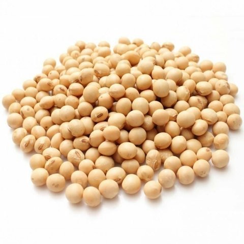 POROTO DE SOJA