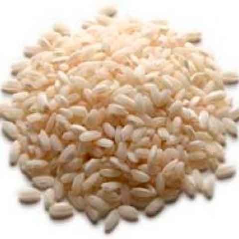 ARROZ CARNAROLI