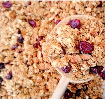 GRANOLA C/ARANDANO Y COCO PREMIUM x 1Kg